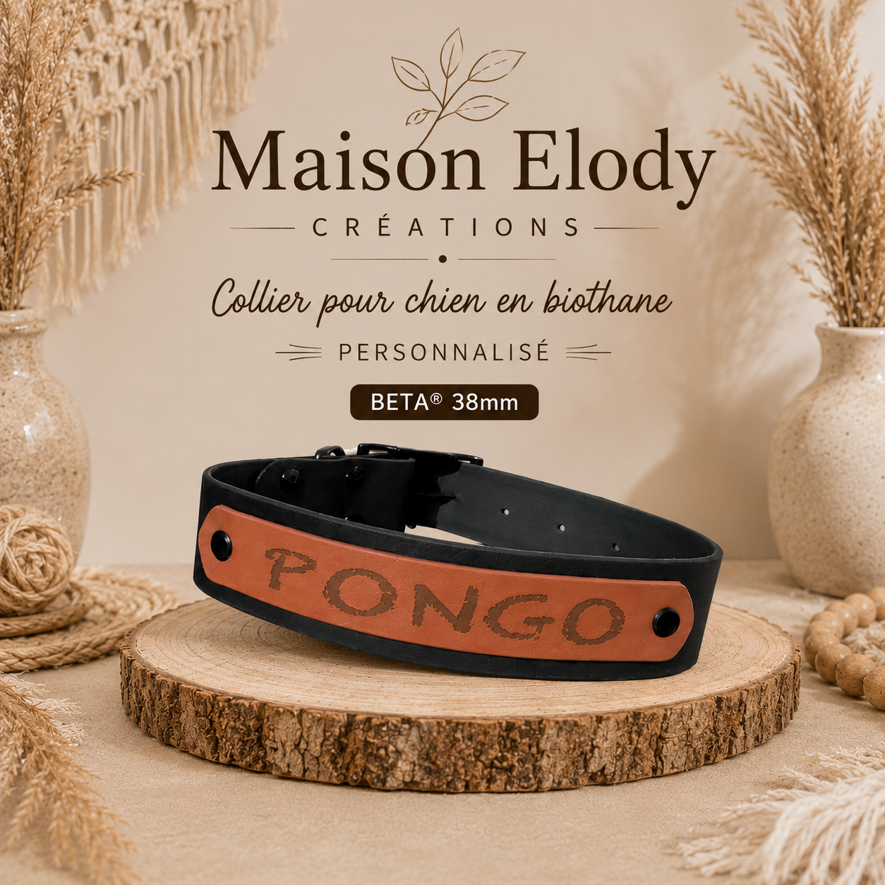Collier Biothane BETA chien 38mm